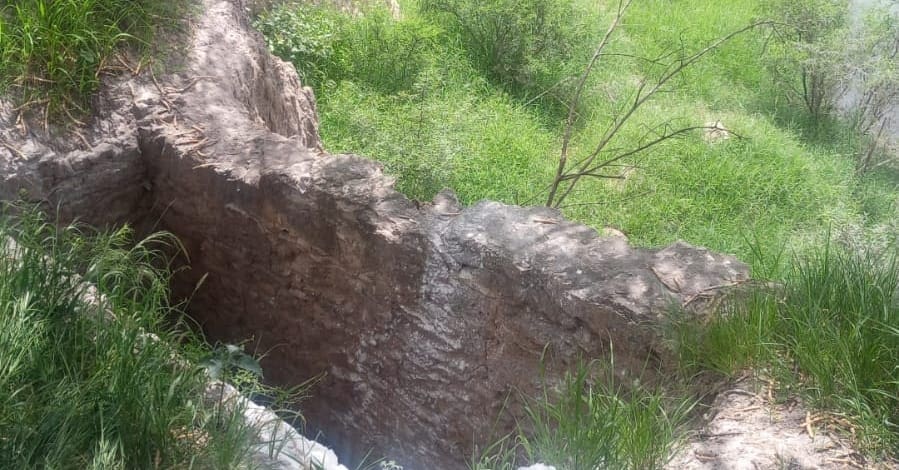 WhatsApp Image 2024 08 20 at 5.33.27 PM