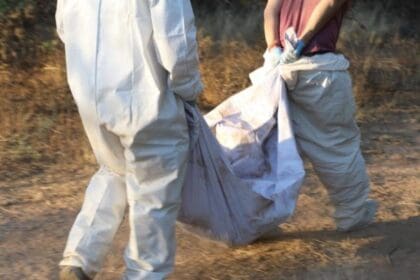 WhatsApp Image 2024 08 29 at 11.24.12 AM