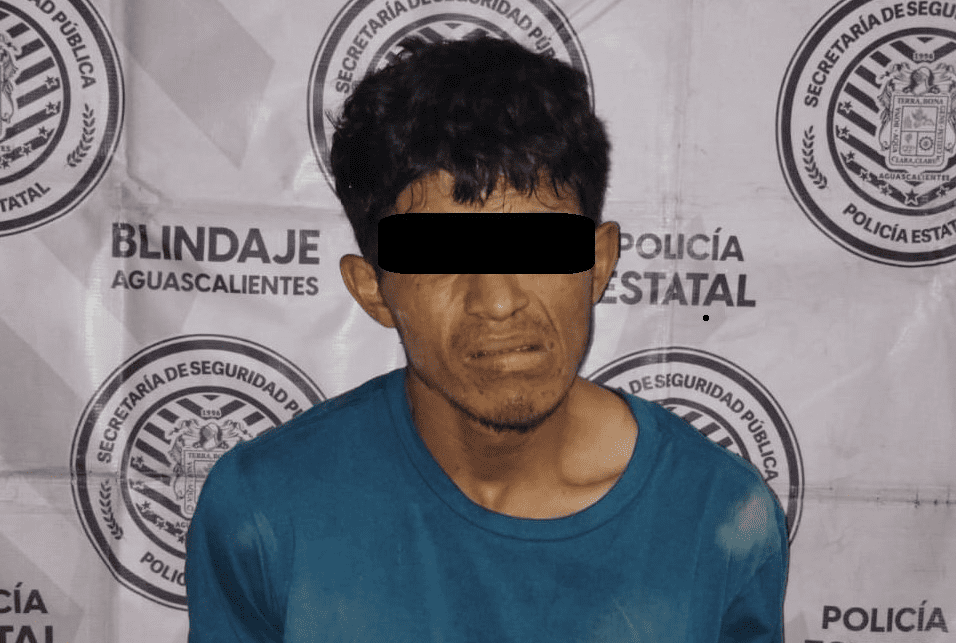 image 431 e1723615050174