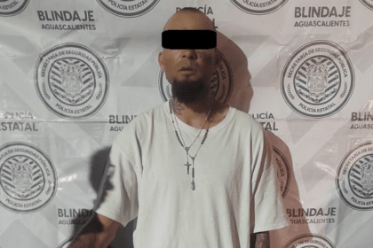 image 497 e1723879097322