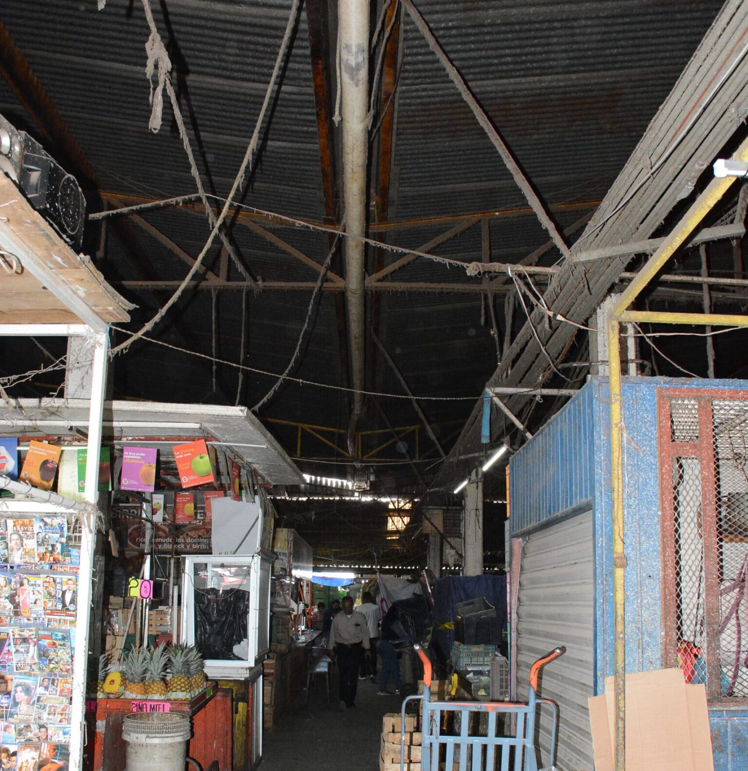 jlb centro scaled e1723487378548