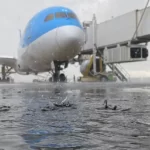 7bYdourO Proyecto nuevo 39 780x470 1