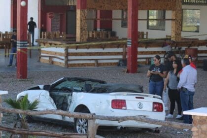 WhatsApp Image 2024 09 16 at 12.50.34 PM