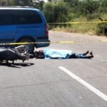 WhatsApp Image 2024 09 25 at 3.32.54 PM