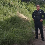 image 478 e1726639638627