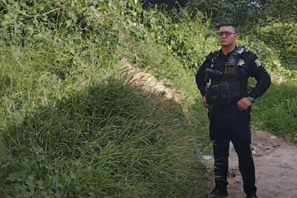 image 478 e1726639638627