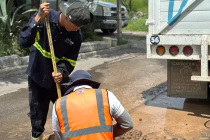 DOL MIAA 01 e1728846570863