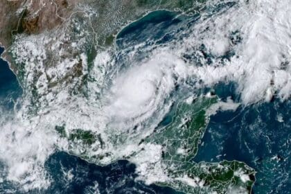 Proyecto nuevo 2024 10 07T105309.665 780x470 1