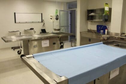 WhatsApp Image 2024 10 19 at 9.01.37 PM