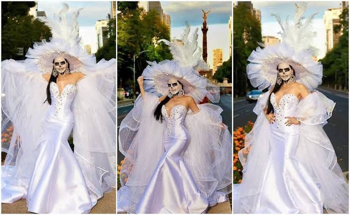 WhatsApp Image 2024 10 29 at 12.14.50 PM