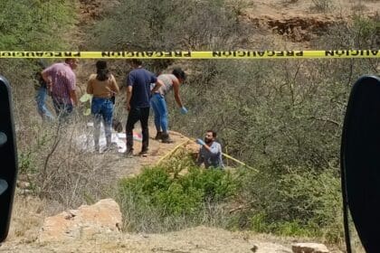 WhatsApp Image 2024 10 30 at 11.27.24 PM