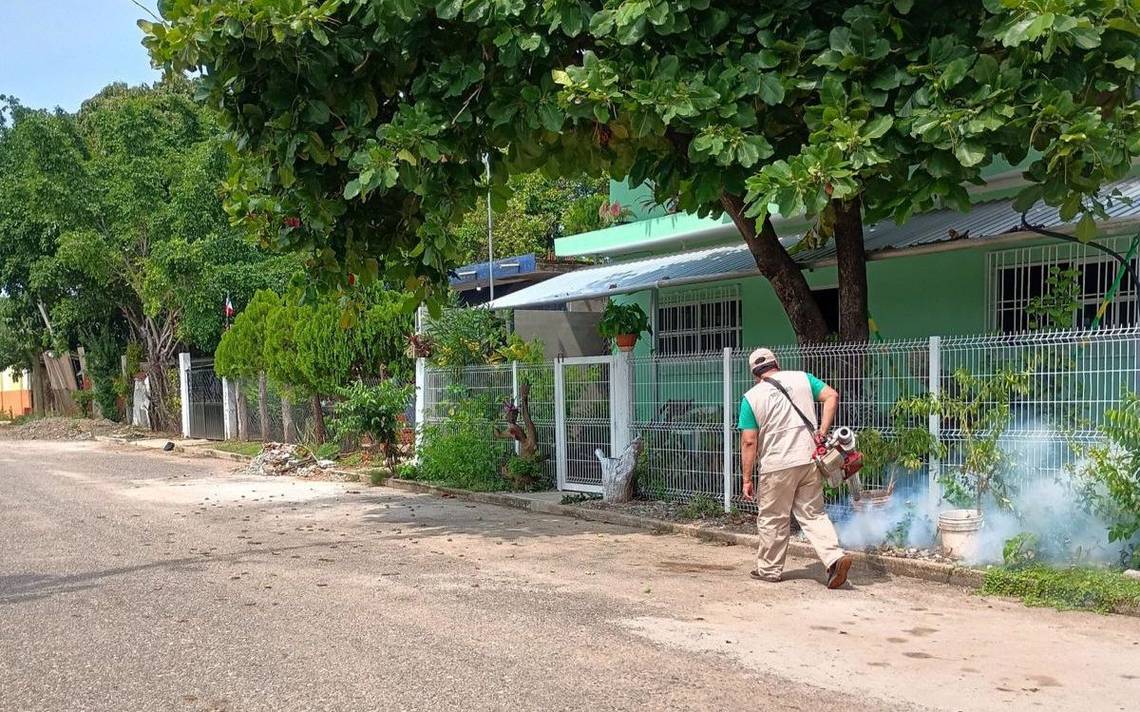 fumigacion combate dengue guerrero 1