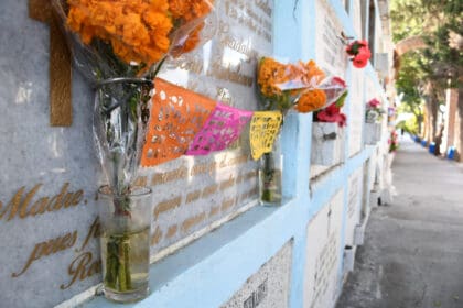 panteones dengue 1 jlb 2