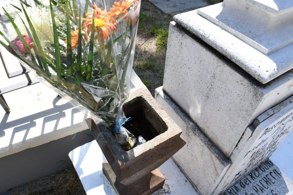 panteones dengue jlb 1