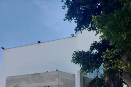 whatsapp image 2021 10 19 at 1.43.37 pm 11