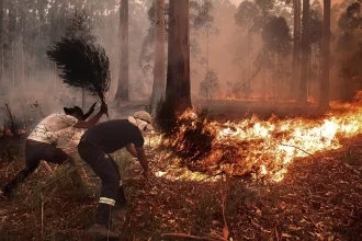 17 w incendios IMG 0057