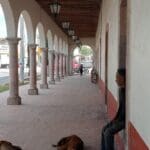 JLB Municipio el Llano 01