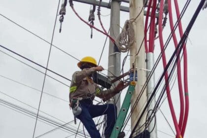 LRM MUNICIPIO CABLES 01