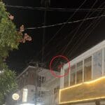 WhatsApp Image 2024 11 15 at 10.42.42 PM