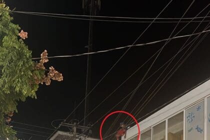 WhatsApp Image 2024 11 15 at 10.42.42 PM