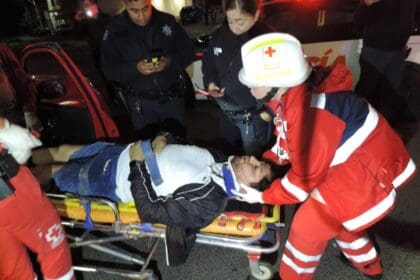 WhatsApp Image 2024 11 23 at 10.44.47 PM