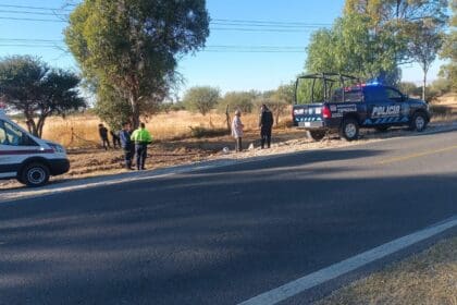 WhatsApp Image 2024 11 25 at 3.03.20 PM