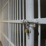 WhatsApp Image 2024 11 27 at 1.11.34 PM