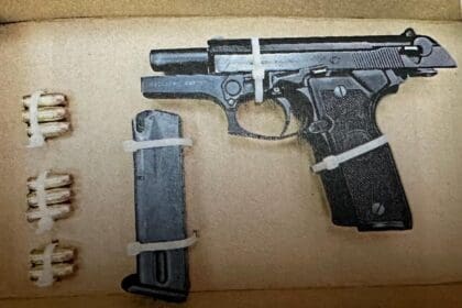 WhatsApp Image 2024 11 28 at 3.17.17 PM