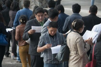 tasadedesempleoenmxicomuestraresultadosfavorecedoresocde