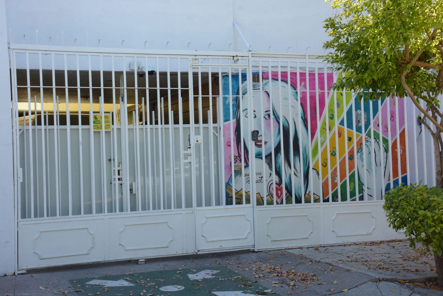 Mujer Contemporanea 2