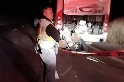 Sin titulo 3 e1733173690974