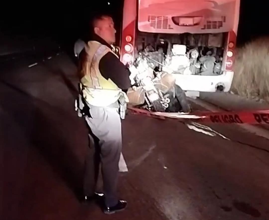 Sin titulo 3 e1733173690974