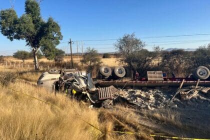 WhatsApp Image 2024 12 02 at 11.24.59 AM