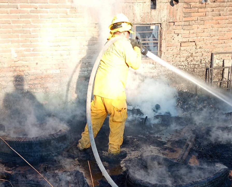 WhatsApp Image 2024 12 02 at 12.01.33 AM e1733171080826