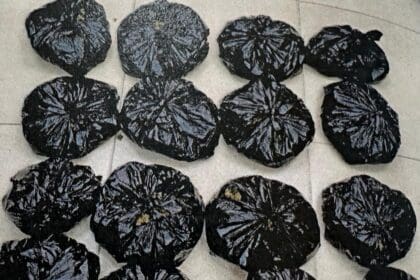 WhatsApp Image 2024 12 03 at 10.14.03 PM