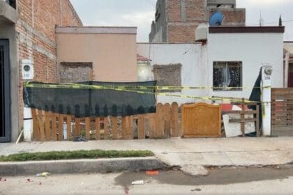 WhatsApp Image 2024 12 07 at 2.50.17 PM