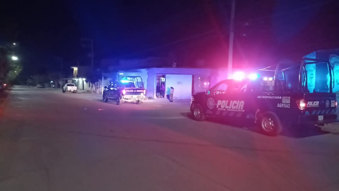 WhatsApp Image 2024 12 10 at 11.08.59 PM