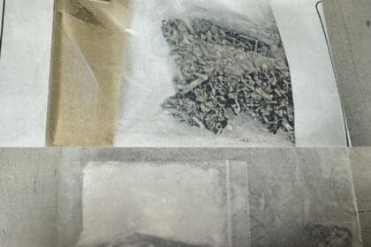 WhatsApp Image 2024 12 10 at 7.31.13 PM