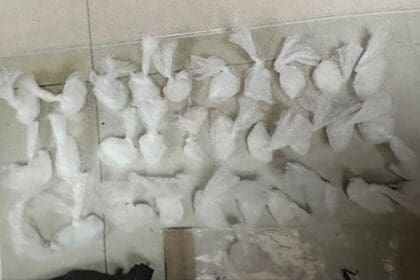 WhatsApp Image 2024 12 11 at 11.37.56 PM