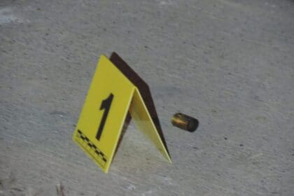 WhatsApp Image 2024 12 14 at 9.37.10 AM 1