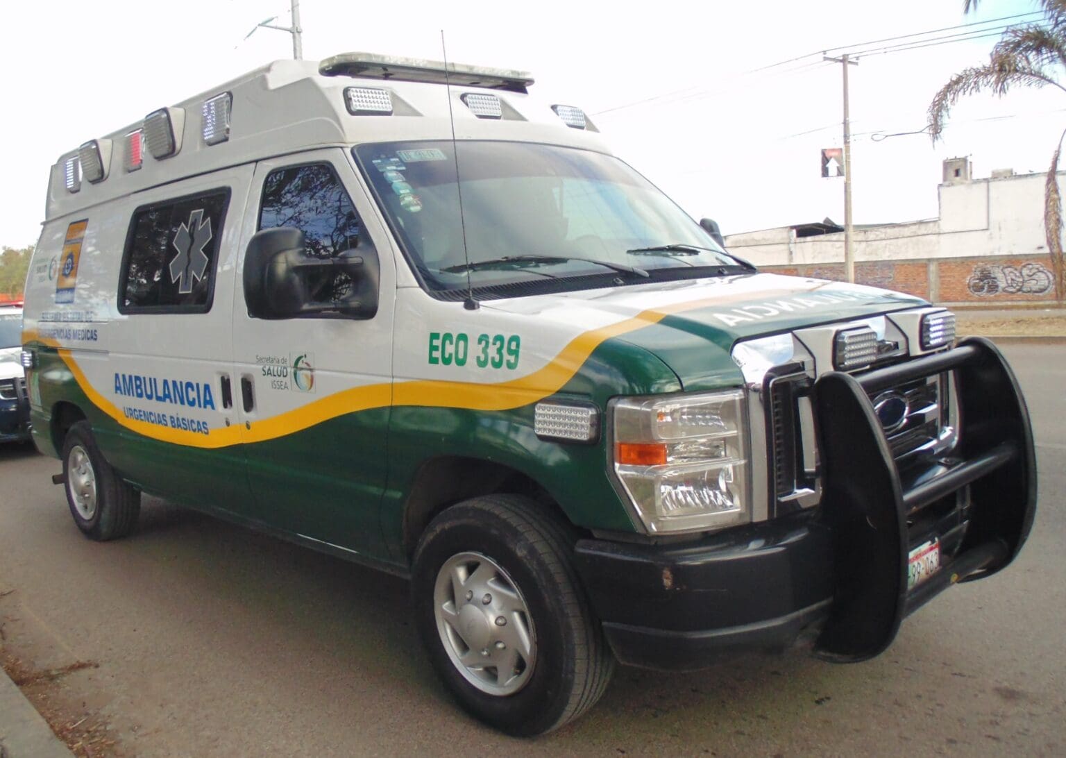 WhatsApp Image 2024 12 14 at 9.45.12 PM