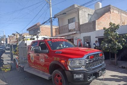 WhatsApp Image 2024 12 18 at 10.17.42 PM