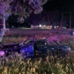 WhatsApp Image 2024 12 21 at 3.53.27 PM