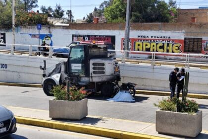 WhatsApp Image 2024 12 25 at 10.35.42 AM 1