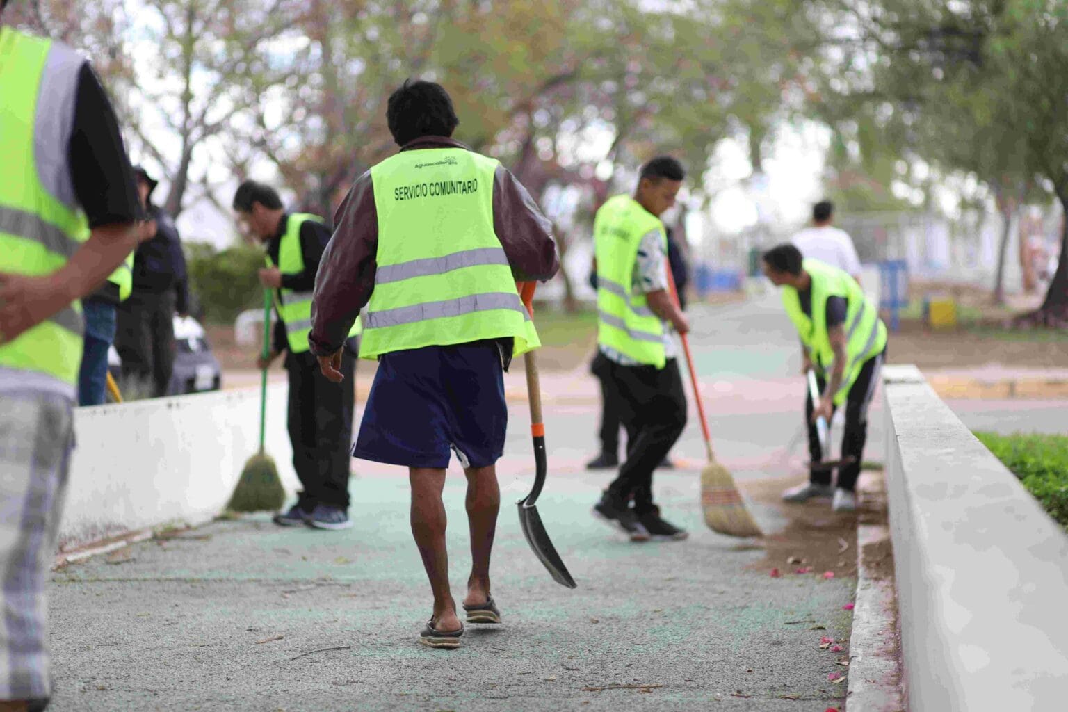 LRM Servicio comunitario