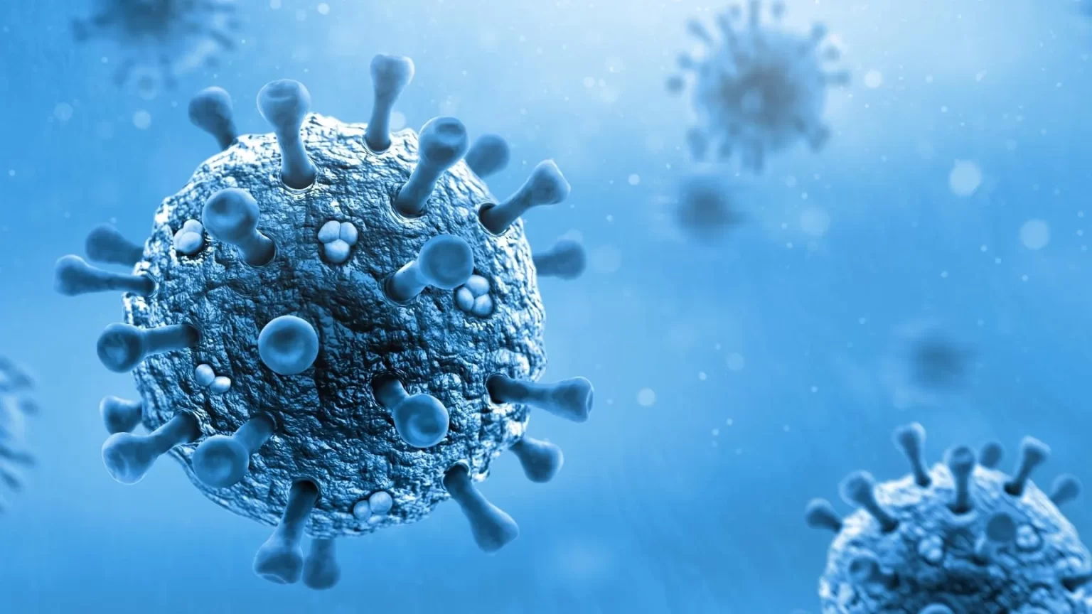 Metapneumovirus Humano