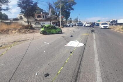 WhatsApp Image 2025 01 03 at 12.50.24 PM