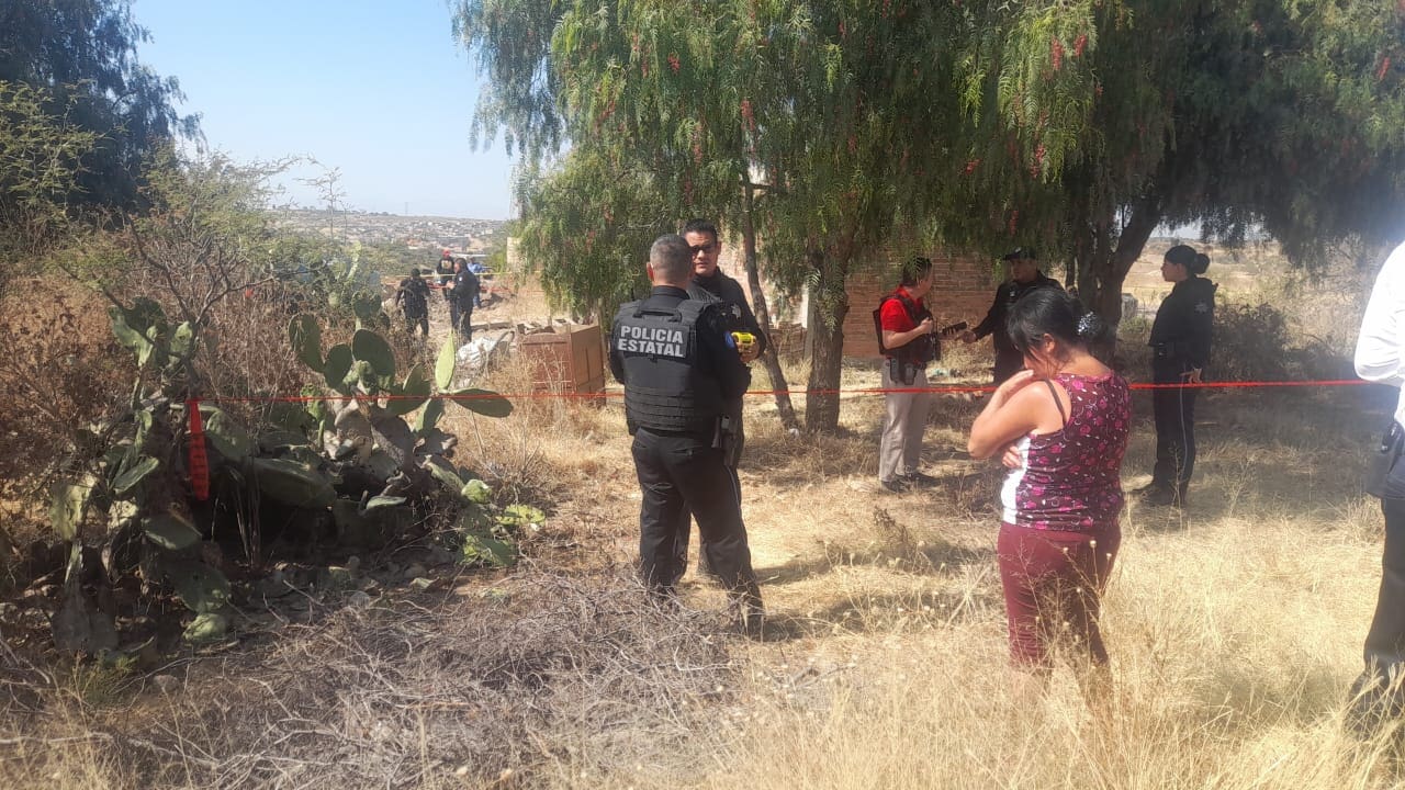 WhatsApp Image 2025 01 04 at 1.42.12 PM