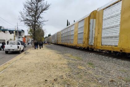 WhatsApp Image 2025 01 07 at 22.20.33