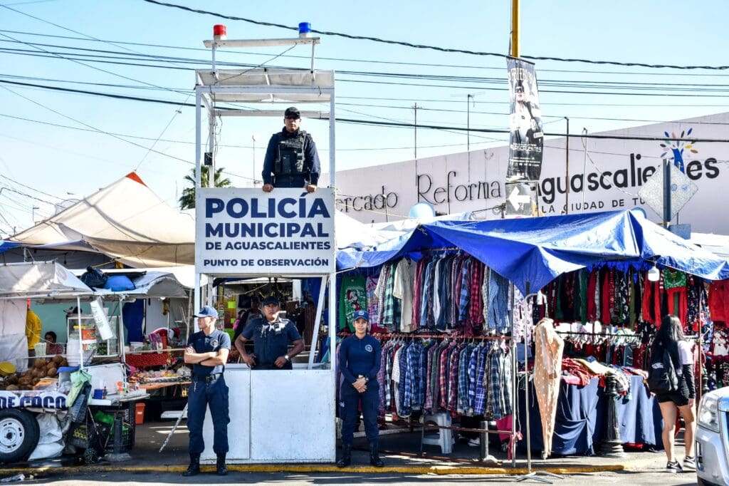 WhatsApp Image 2025 01 08 at 1.30.49 PM 2